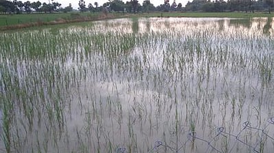 தாழ்வு மண்டலம் ஆழ்ந்த காற்றழுத்த தாழ்வுப் பகுதியாக வலுவிழந்தது