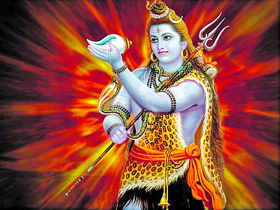 கார்த்திகையில் கங்காதரனுக்கு சங்காபிஷேகம்!