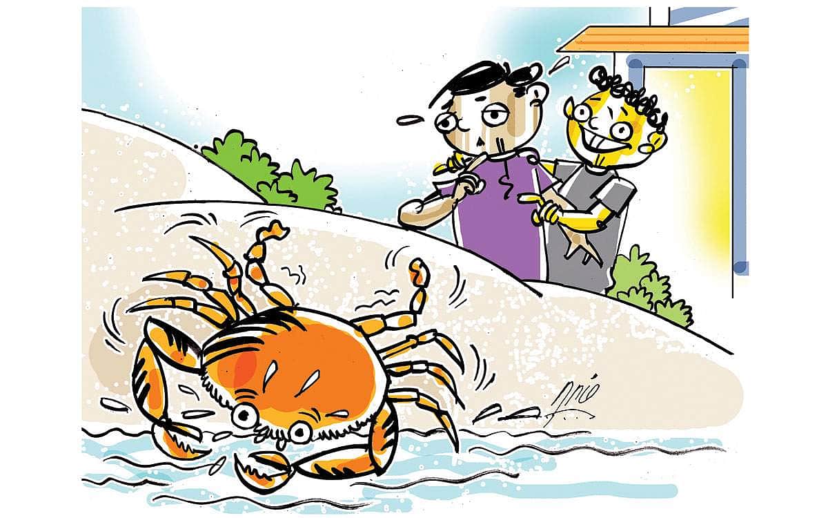 News image