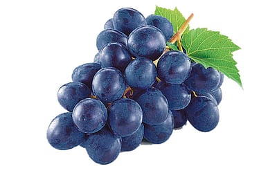 எந்த உணவு என்ன செய்யும்!