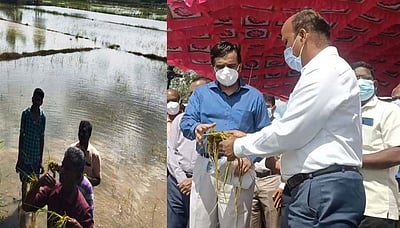 மழை வெள்ளப் பாதிப்பு - கடலூா் மாவட்டத்தில் மத்தியக் குழுவினா் ஆய்வு