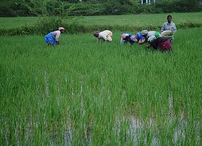 நாகை, மயிலாடுதுறை மாவட்டங்களில் பரவலாக மழை