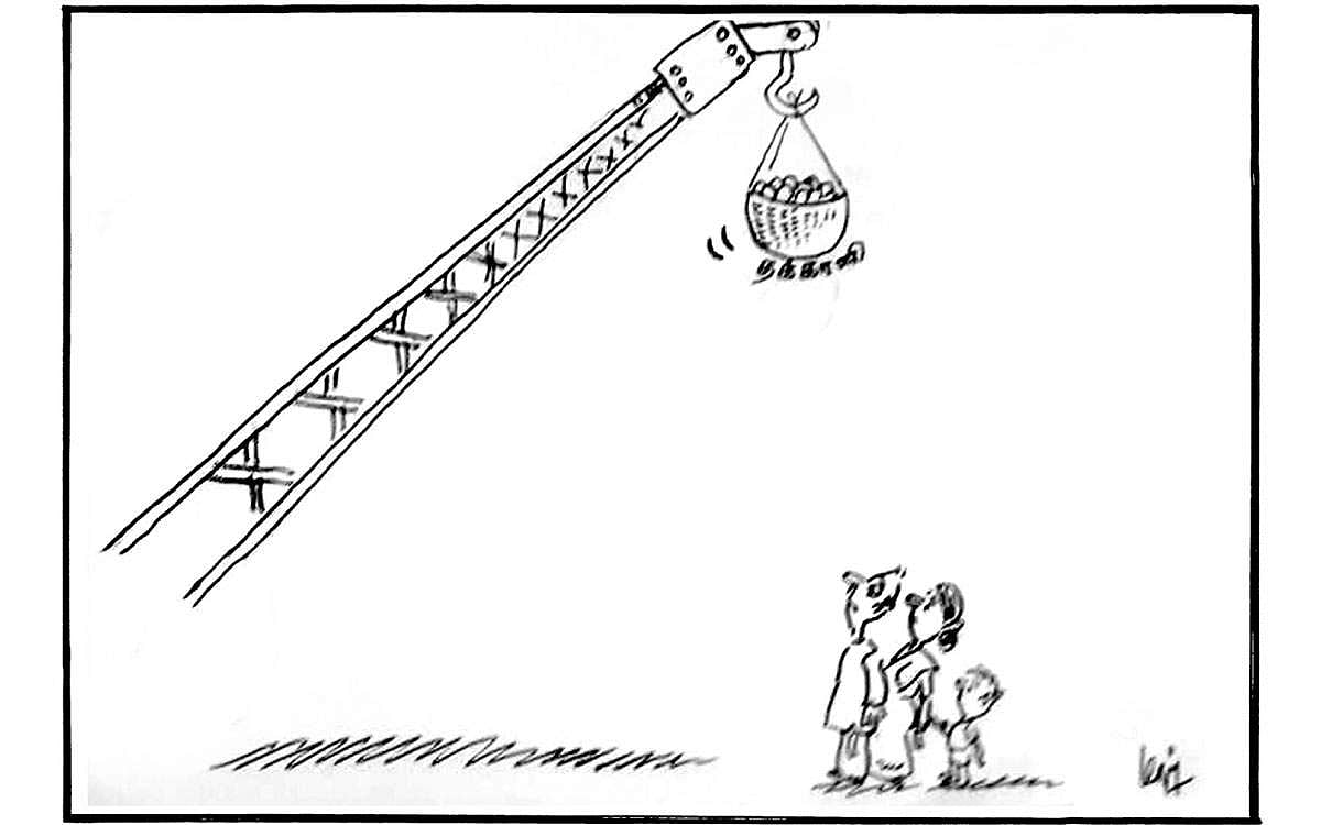 தக்காளி