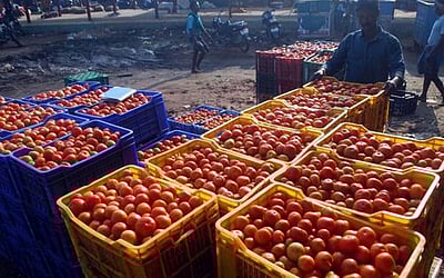 ஈரோட்டில் தக்காளி விலை குறைந்தது:ரூ. 50 முதல் ரூ. 80 வரை விற்பனை