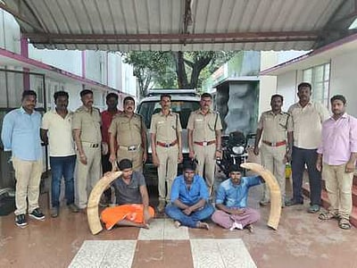 யானை தந்தங்கள் கடத்தல்: மூவா் கைது