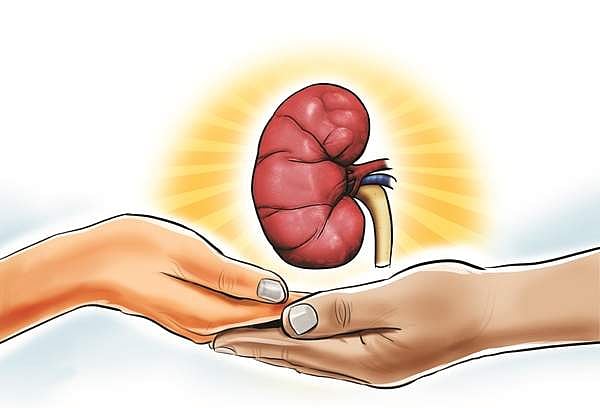 உடல் உறுப்பு தானம்: மனித இனத்திற்கு கிடைத்த வரம்!