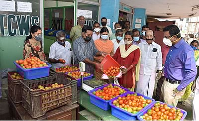 கூட்டுறவுத் துறை மூலம் மலிவு விலையில் தக்காளி விற்பனை