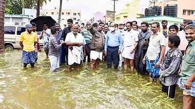 மழை பாதிப்பு பகுதிகளில் ஆய்வு