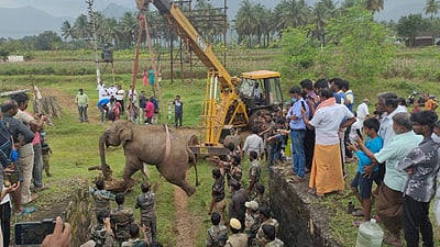 கோவையில் ரயில் மோதி யானைகள் பலியான சம்பவம்: ரயில்வே போலீசார் விசாரணை