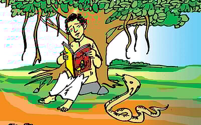 நினைவுச் சுடர்!: விளையும் பயிர்...