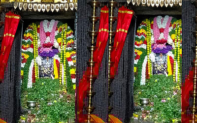 அதியமான்கோட்டையில் கால பைரவர் ஜெயந்தி வழிா - புகைப்படங்கள்