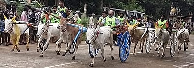 கூடலூரில் இரட்டை மாட்டு வண்டி எல்கை பந்தயம்