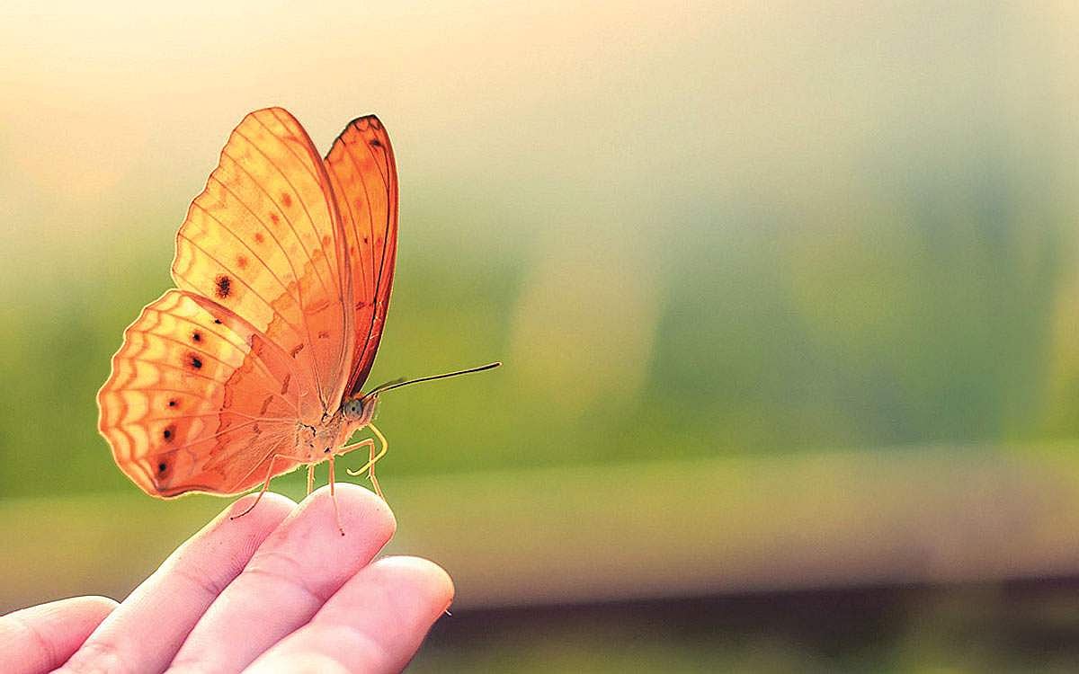 கிளர்ந்தெழுங்கள் தோழர்களே! - 25: மாதர் தம்மை இழிவு செய்யும் மடமையைக் கொளுத்துவோம்! 