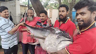 கோவை: மீன் கடைக்கு விற்பனைக்கு வந்த 86 கிலோ ராட்சத மீன்