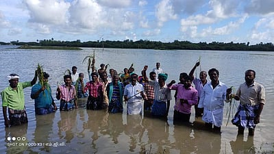 சீர்காழி: வேளாண் துறை அதிகாரிகள் தடுத்து நிறுத்தம்;  வயலில் இறங்கி விவசாயிகள் ஆர்ப்பாட்டம்