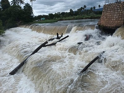 முல்லைப் பெரியாறு அணை நீர்மட்டம் 142 அடியை எட்டியது