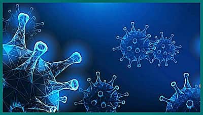 தில்லியில் கரோனா வழிகாட்டுதல்கள் மீறல்: ஒரே நாளில் ரூ.1 கோடி வசூல்