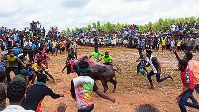திருமயம் அருகே அனுமதியின்றி மஞ்சுவிரட்டு, இருவா் பலி 20 போ் மீது வழக்கு