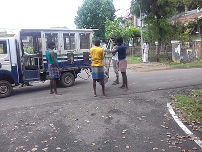 கூத்தாநல்லூரில் 49 நாய்கள் பிடிப்பு