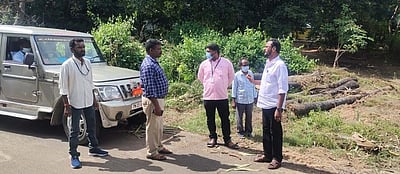 15 பனை மரங்கள் வெட்டிச் சாய்ப்பு