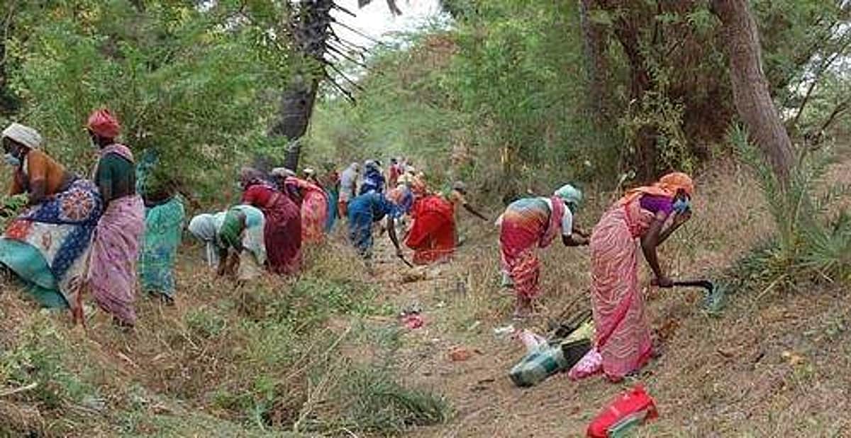 சாதகமும் பாதகமும்! | நூறு நாள் வேலைத் திட்ட நிதி ஒதுக்கீடு குறித்த தலையங்கம்