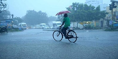 நெல்லையில் பள்ளி, கல்லூரிகளுக்கு விடுமுறை