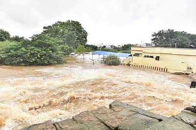 முக்கொம்பு அணையிலிருந்து கொள்ளிடத்தில் 10,000 கன அடி நீர் திறப்பு - ஆட்சியர் அறிவிப்பு