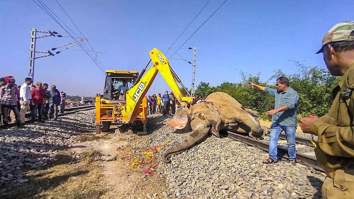 அசாமில் ரயில் மோதியதில் இரண்டு யானைகள் பலி