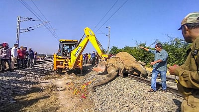 அசாமில் ரயில் மோதியதில் இரண்டு யானைகள் பலி