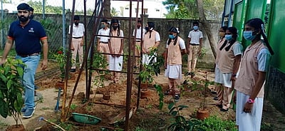 பள்ளியில் வண்ணத்துப் பூச்சி பூங்கா அமைப்பு