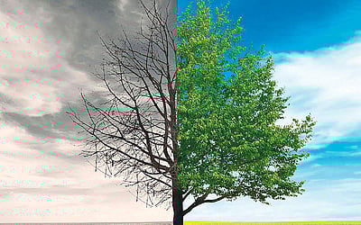 இணைய வெளியினிலே...