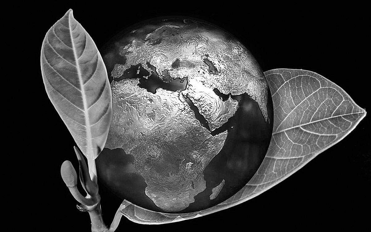 தேவையானதை மட்டும் வாங்குங்கள்!