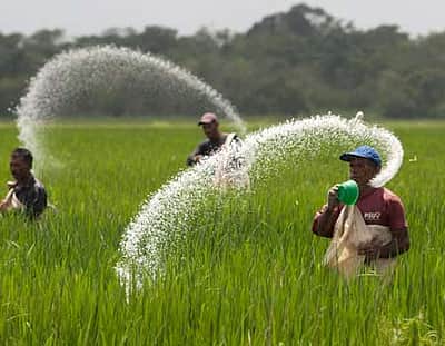 உரம் தொடர்பான தகவல்களை பெற, புகார் அளிக்க உர உதவி மையம்