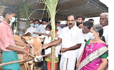 சிறப்பு கால்நடை  மருத்துவ முகாம்: அமைச்சா் தொடங்கி வைத்தாா்
