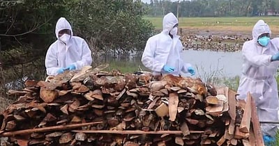 பறவைக்காய்ச்சல் பரவும் போது நான் கோழிக்கறி அதிகம் சாப்பிடுவேன்: அமைச்சர் பேச்சு