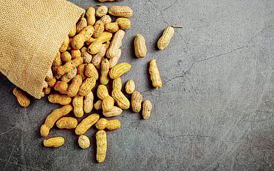 நிலக்கடலையின் நன்மைகள்!