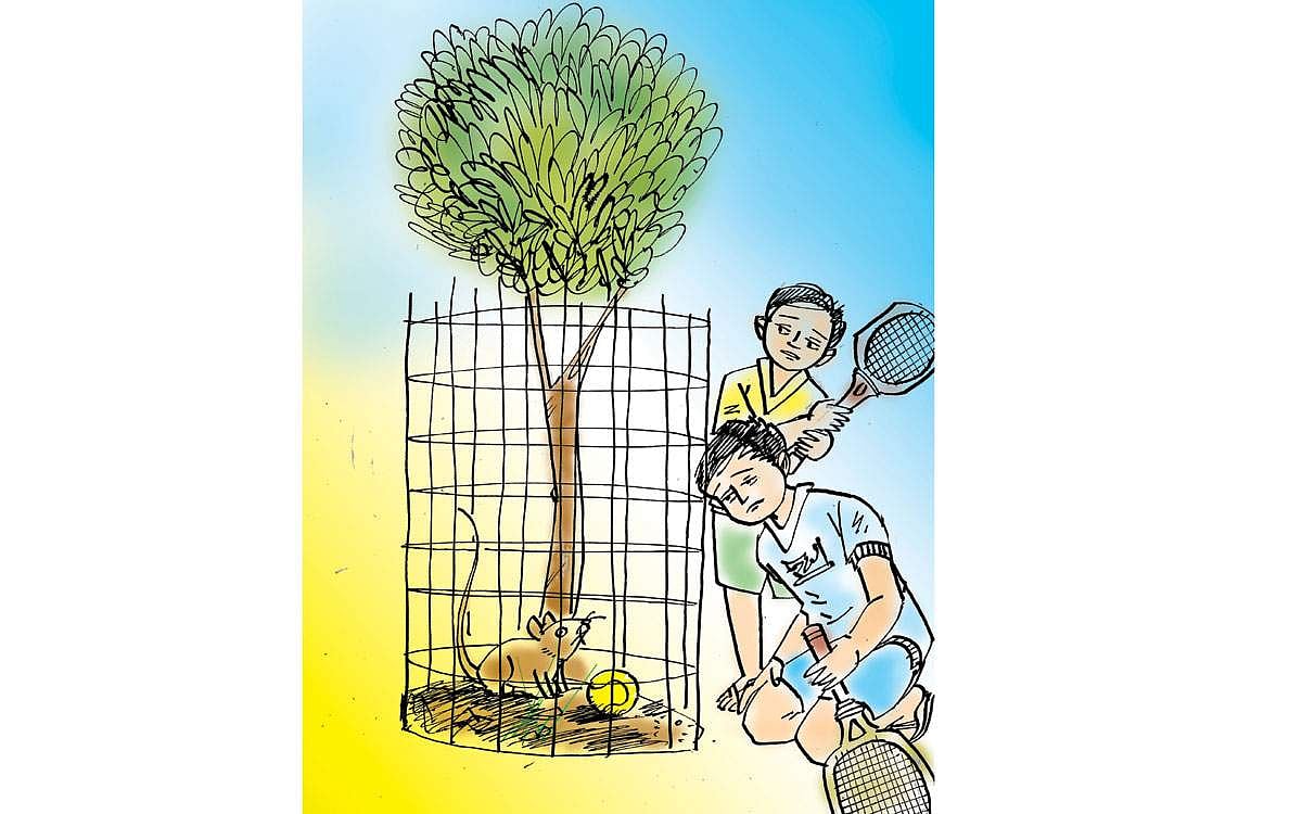 பொலலாத எலி!