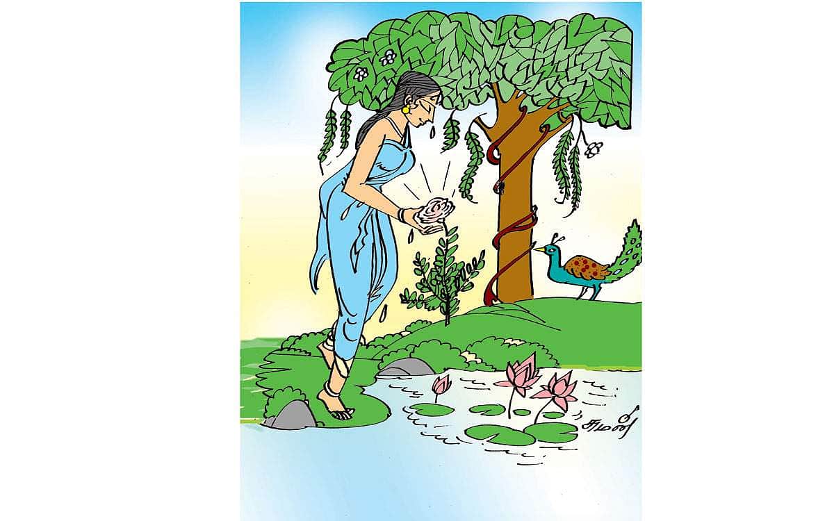News image