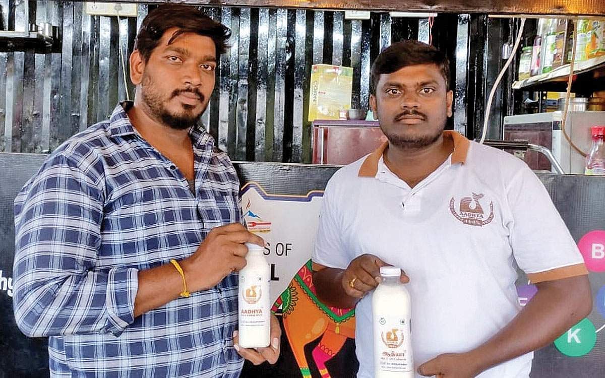 ஓ! போட வைக்கும் ஒட்டகப் பால் !