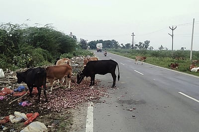 சாலையோரம் கொட்டப்படும் கழிவுகளால் மக்கள் அவதி