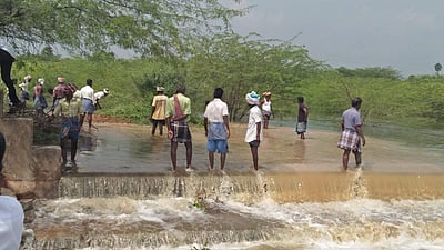 வைகையில் மீண்டும் வெள்ளப்பெருக்கு: மானாமதுரை அருகே கண்மாய் கரை உடைப்பு