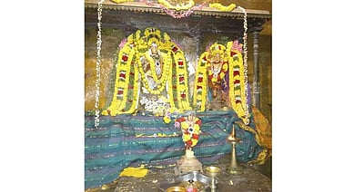 ஆலங்குடி ஆபத்சகாயேஸ்வரர் குருபரிகார கோயிலில் ஆருத்ரா தரிசன விழா