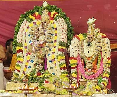 அவிநாசிலிங்கேசுவரர் கோவிலில் ஆருத்ரா தரிசன விழா