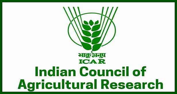 தேசிய வாழை ஆராய்ச்சி மையத்தில் வேலை: விண்ணப்பங்கள் வரவேற்பு