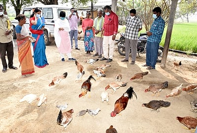 பெரியநாகலூரில் வேளாண் பணிகள்: அரியலூா் ஆட்சியா் ஆய்வு