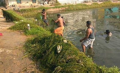 அகத்தீஸ்வரா் கோயில் குளத்தை சீரமைத்த இளைஞா்கள்