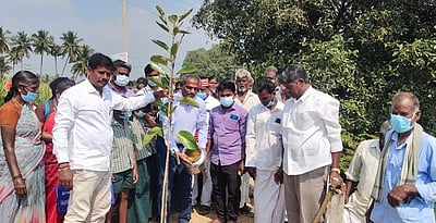 நீா்நிலைக் கரைகளை பலப்படுத்த பனை விதைகள், மரக்கன்றுகள் கிராம மக்களின் முயற்சிக்கு ஆட்சியா் பாராட்டு
