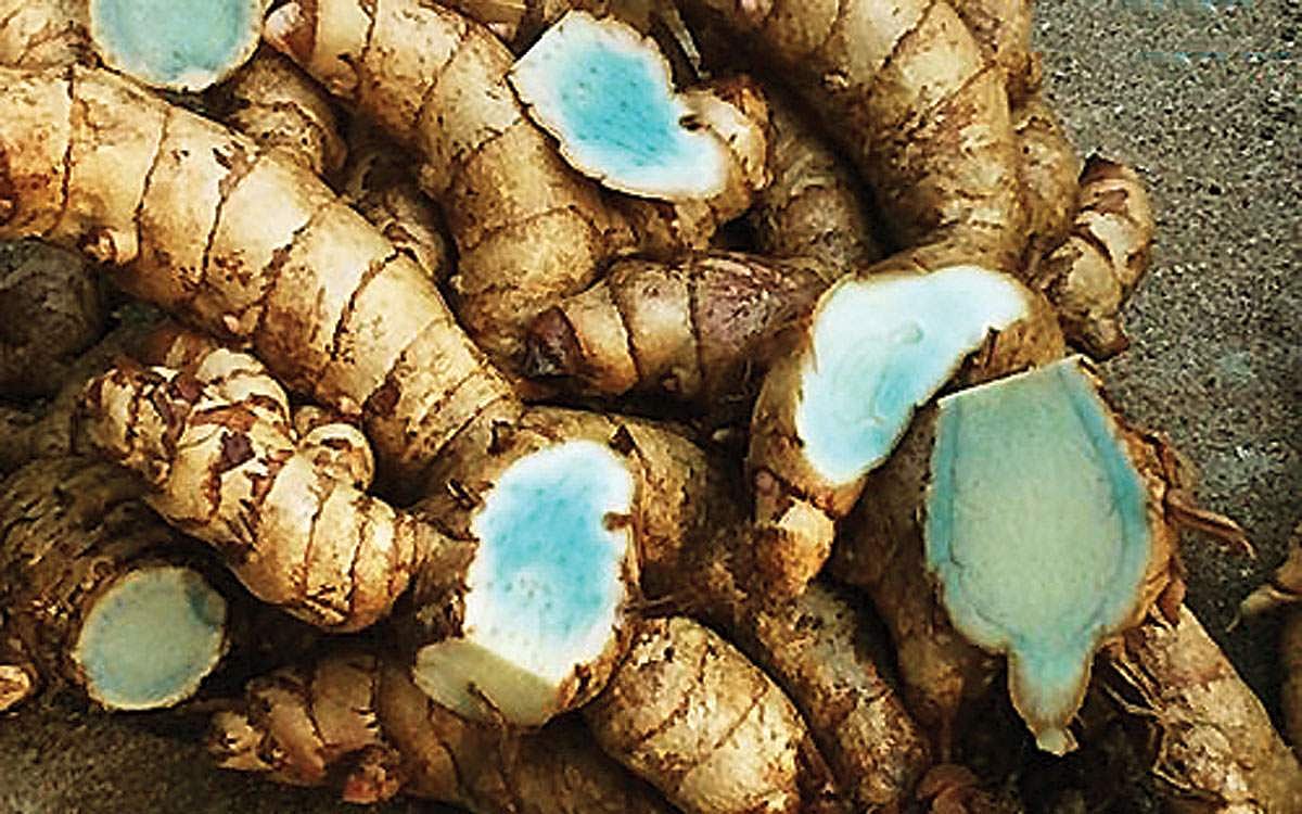 கருமஞ்சளின் பயன்கள்!