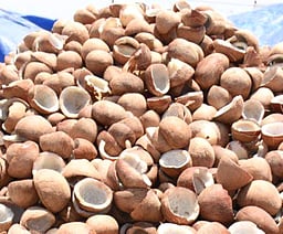 பரமத்தி வேலூரில் ரூ. 4.96 லட்சத்துக்கு கொப்பரை ஏலம்!