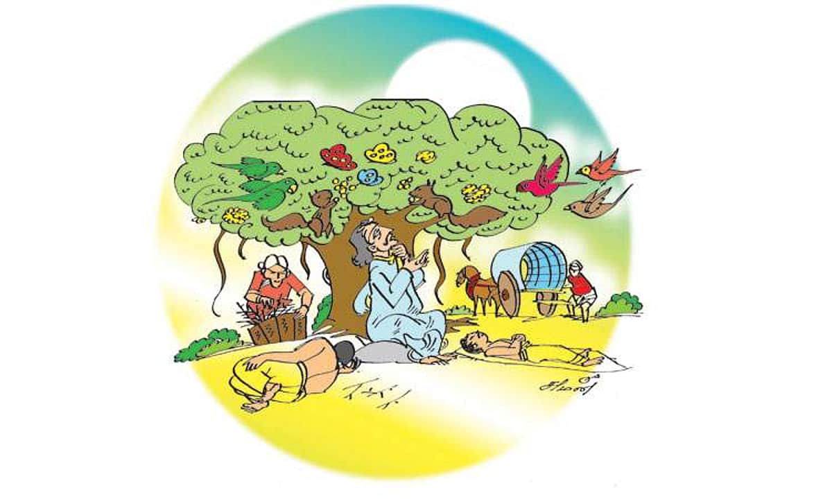 News image